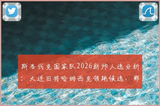 斯洛伐克国家队2026新帅人选分析：大连旧将哈姆西克领跑候选，那不勒斯名宿转型挑战几何？